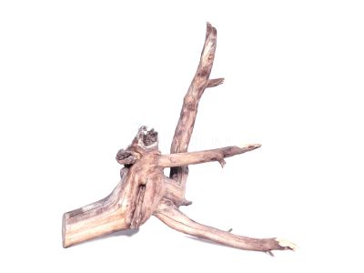 /images/product_images/info_images/korjaga-dlja-akvariuma---naturalnaja-prirodnaja-dekoracija-0184_5.jpg