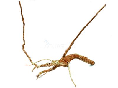 /images/product_images/info_images/korjaga-dlja-akvariuma---naturalnaja-prirodnaja-dekoracija-0191_1.jpg