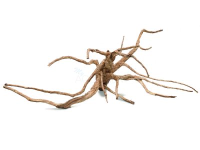 /images/product_images/info_images/korjaga-v-akvarium---naturalnaja-prirodnaja-dekoracija-0245_1.jpg
