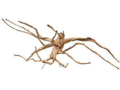 /images/product_images/info_images/korjaga-v-akvarium---naturalnaja-prirodnaja-dekoracija-0245_2.jpg