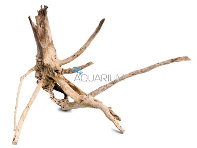 /images/product_images/info_images/korjaga-v-akvarium---naturalnaja-prirodnaja-dekoracija-0249_2.jpg