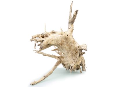 /images/product_images/info_images/korjaga-v-akvarium--terrarium---naturalnaja-prirodnaja-dekoracija-0265_1.jpg