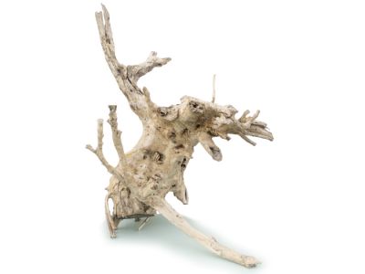 /images/product_images/info_images/korjaga-v-akvarium--terrarium---naturalnaja-prirodnaja-dekoracija-0265_2.jpg