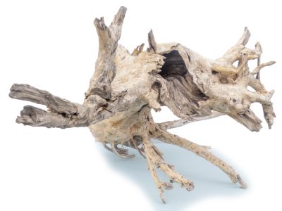 /images/product_images/info_images/korjaga-v-akvarium--terrarium---naturalnaja-prirodnaja-dekoracija-0265_3.jpg