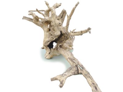 /images/product_images/info_images/korjaga-v-akvarium--terrarium---naturalnaja-prirodnaja-dekoracija-0265_5.jpg