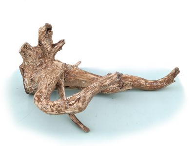 /images/product_images/info_images/korjaga-v-akvarium--terrarium---naturalnaja-prirodnaja-dekoracija-0281_2.jpg