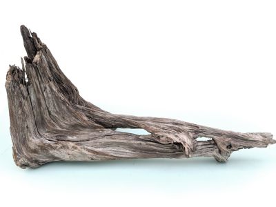 /images/product_images/info_images/korjaga-v-akvarium--terrarium---naturalnaja-prirodnaja-dekoracija-0286_1.jpg