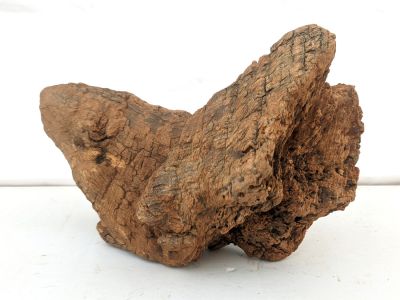 /images/product_images/info_images/korjaga-v-akvarium--terrarium---naturalnaja-prirodnaja-dekoracija-0294_1.jpg