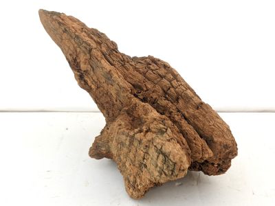 /images/product_images/info_images/korjaga-v-akvarium--terrarium---naturalnaja-prirodnaja-dekoracija-0294_2.jpg