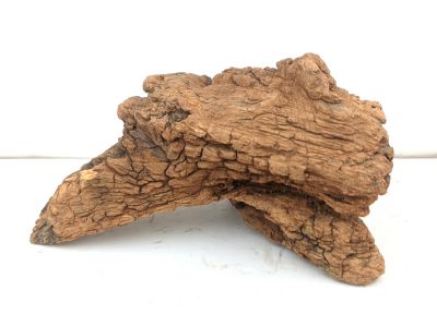 /images/product_images/info_images/korjaga-v-akvarium--terrarium---naturalnaja-prirodnaja-dekoracija-0294_3.jpg