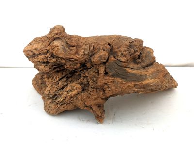 /images/product_images/info_images/korjaga-v-akvarium--terrarium---naturalnaja-prirodnaja-dekoracija-0294_4.jpg