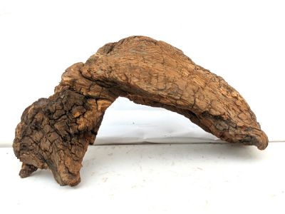 /images/product_images/info_images/korjaga-v-akvarium--terrarium---naturalnaja-prirodnaja-dekoracija-0296_1.jpg