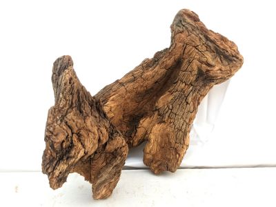 /images/product_images/info_images/korjaga-v-akvarium--terrarium---naturalnaja-prirodnaja-dekoracija-0296_2.jpg