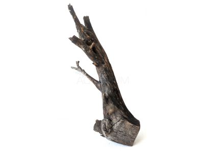 /images/product_images/info_images/korjaga-v-akvarium--terrarium---naturalnaja-prirodnaja-dekoracija-0302_1.jpg