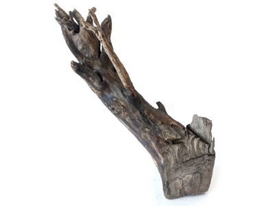 /images/product_images/info_images/korjaga-v-akvarium--terrarium---naturalnaja-prirodnaja-dekoracija-0302_2.jpg