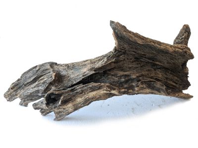 /images/product_images/info_images/korjaga-v-akvarium--terrarium---naturalnaja-prirodnaja-dekoracija-0304_1.jpg