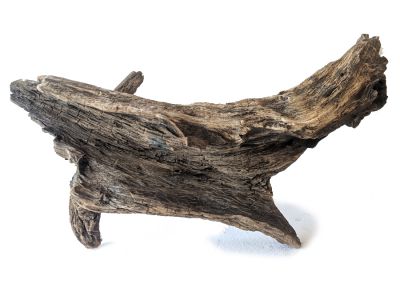 /images/product_images/info_images/korjaga-v-akvarium--terrarium---naturalnaja-prirodnaja-dekoracija-0304_2.jpg