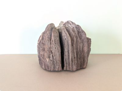 /images/product_images/info_images/korjaga-v-akvarium--terrarium---naturalnaja-prirodnaja-dekoracija-0312_1.jpg