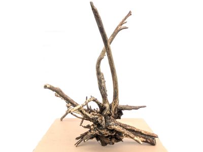 /images/product_images/info_images/korjaga-v-akvarium--terrarium---naturalnaja-prirodnaja-dekoracija-0322_3.jpg