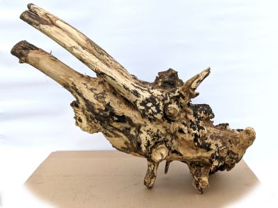 /images/product_images/info_images/korjaga-v-akvarium--terrarium---naturalnaja-prirodnaja-dekoracija-0326_1.jpg