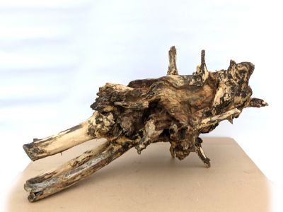 /images/product_images/info_images/korjaga-v-akvarium--terrarium---naturalnaja-prirodnaja-dekoracija-0326_2.jpg