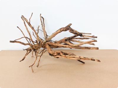 /images/product_images/info_images/korjaga-v-akvarium--terrarium---naturalnaja-prirodnaja-dekoracija-0341_4.jpg