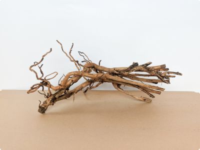 /images/product_images/info_images/korjaga-v-akvarium--terrarium---naturalnaja-prirodnaja-dekoracija-0346_1.jpg