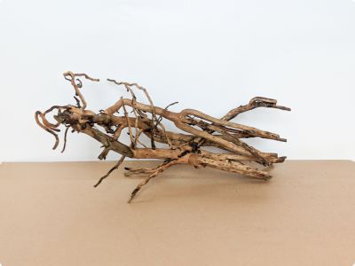 /images/product_images/info_images/korjaga-v-akvarium--terrarium---naturalnaja-prirodnaja-dekoracija-0346_2.jpg