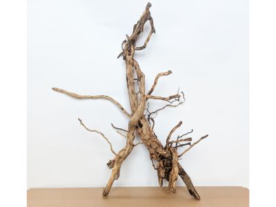 /images/product_images/info_images/korjaga-v-akvarium--terrarium---naturalnaja-prirodnaja-dekoracija-0347_1.jpg