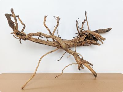/images/product_images/info_images/korjaga-v-akvarium--terrarium---naturalnaja-prirodnaja-dekoracija-0347_2.jpg