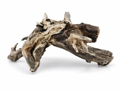 /images/product_images/info_images/korjaga-v-akvarium--terrarium---naturalnaja-prirodnaja-dekoracija-0362_1.png