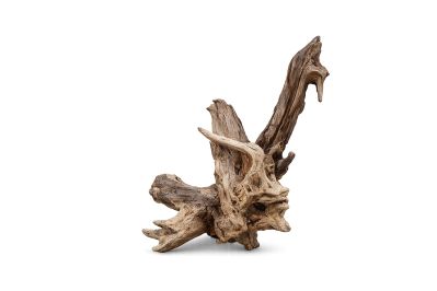 /images/product_images/info_images/korjaga-v-akvarium--terrarium---naturalnaja-prirodnaja-dekoracija-0362_2.png