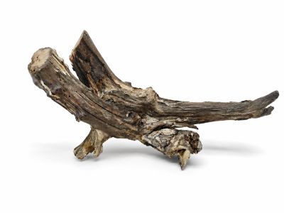 /images/product_images/info_images/korjaga-v-akvarium--terrarium---naturalnaja-prirodnaja-dekoracija-0362_3.png