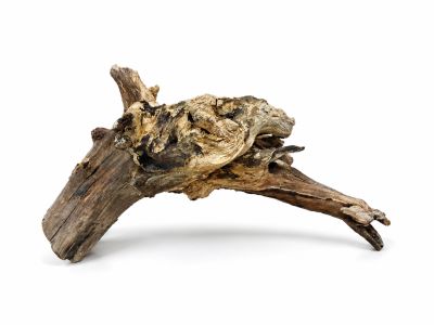/images/product_images/info_images/korjaga-v-akvarium--terrarium---naturalnaja-prirodnaja-dekoracija-0362_4.png