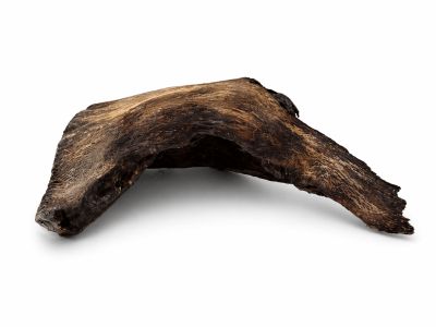 /images/product_images/info_images/korjaga-v-akvarium--terrarium---naturalnaja-prirodnaja-dekoracija-0364_2.png
