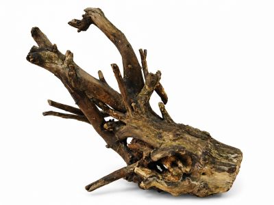 /images/product_images/info_images/korjaga-v-akvarium--terrarium---naturalnaja-prirodnaja-dekoracija-0365_5.png