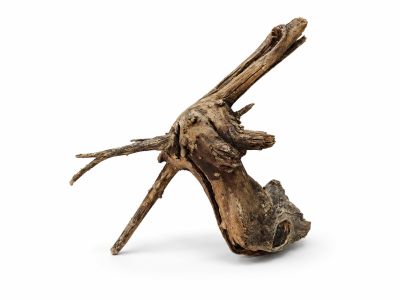 /images/product_images/info_images/korjaga-v-akvarium--terrarium---naturalnaja-prirodnaja-dekoracija-0367_2.png