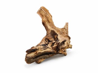 /images/product_images/info_images/korjaga-v-akvarium--terrarium---naturalnaja-prirodnaja-dekoracija-0368_1.png