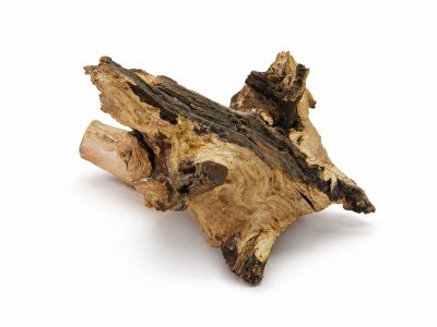 /images/product_images/info_images/korjaga-v-akvarium--terrarium---naturalnaja-prirodnaja-dekoracija-0368_2.png