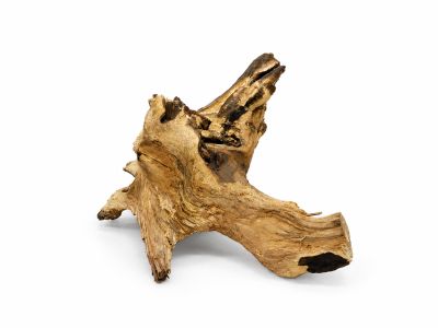 /images/product_images/info_images/korjaga-v-akvarium--terrarium---naturalnaja-prirodnaja-dekoracija-0368_4.png