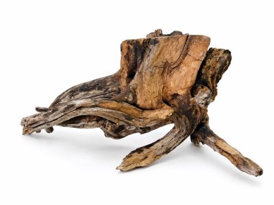 /images/product_images/info_images/korjaga-v-akvarium--terrarium---naturalnaja-prirodnaja-dekoracija-0370_1.png