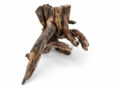 /images/product_images/info_images/korjaga-v-akvarium--terrarium---naturalnaja-prirodnaja-dekoracija-0370_2.png