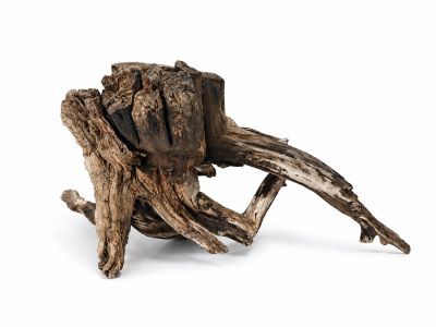 /images/product_images/info_images/korjaga-v-akvarium--terrarium---naturalnaja-prirodnaja-dekoracija-0370_3.png