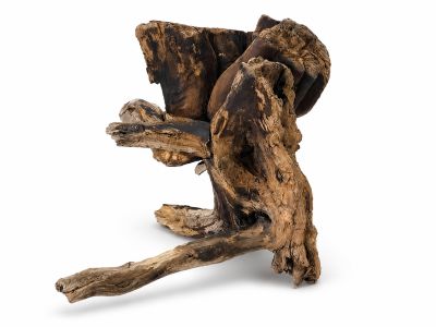 /images/product_images/info_images/korjaga-v-akvarium--terrarium---naturalnaja-prirodnaja-dekoracija-0370_4.png