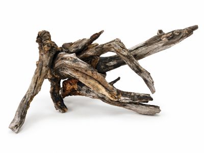 /images/product_images/info_images/korjaga-v-akvarium--terrarium---naturalnaja-prirodnaja-dekoracija-0370_5.png