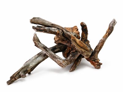 /images/product_images/info_images/korjaga-v-akvarium--terrarium---naturalnaja-prirodnaja-dekoracija-0370_6.png