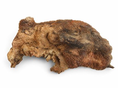 /images/product_images/info_images/korjaga-v-akvarium--terrarium---naturalnaja-prirodnaja-dekoracija-0371_1.png