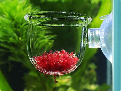 /images/product_images/info_images/kormushka-stekljannaja-dlja-zhivogo-korma-chashevidnaja---aqua-tech-glass-feeder-bowl-s_1.jpg