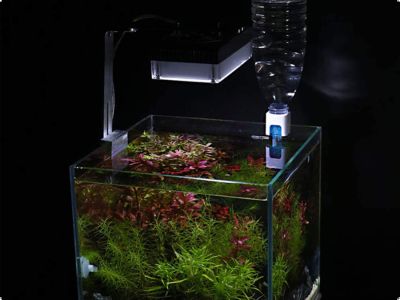 /images/product_images/info_images/sistema-avtodoliva-vody-v-akvarium-51co2-auto-level_2.jpg