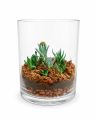 Эксклюзивный авторский флорариум Aqua-Tech Exclusive Florarium, FL001
